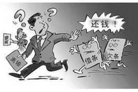 布尔津专业催债公司的市场需求和前景分析